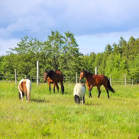 Kosertal - Erlebnisbauernhof, Reitstall & Marktleugast