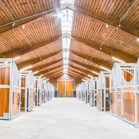 Apartament Kosertal - Erlebnisbauernhof, Reitstall &