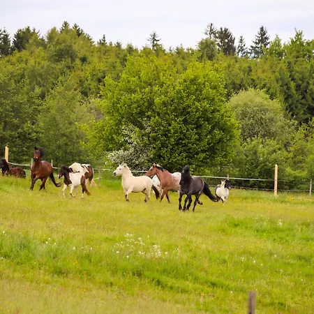 Apartament Kosertal - Erlebnisbauernhof, Reitstall &