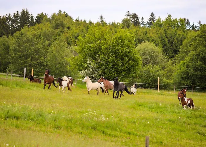Apartament Kosertal - Erlebnisbauernhof, Reitstall &